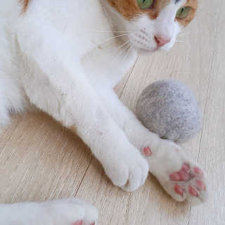 루나님이 올린 리뷰 사진 3