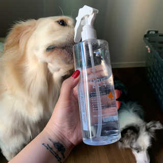 [펫토리아]살균뚝딱 강아지 고양이 살균소독제 탈취제 — 5점을 준 리뷰어가 2019년 10월 올린 사용 사진