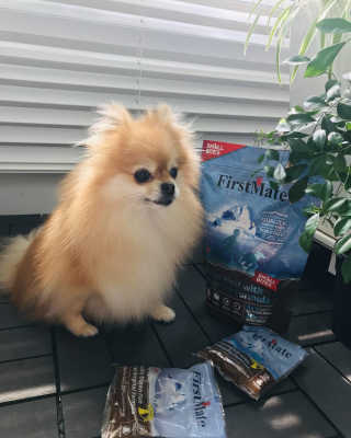 재이맘님이 올린 리뷰 사진 1