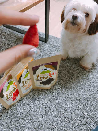 은도니님이 올린 리뷰 사진 1