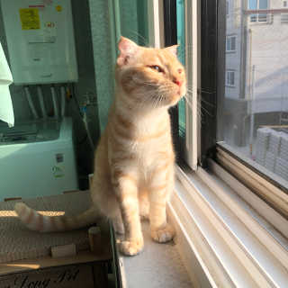 김민지님이 올린 리뷰 사진 3