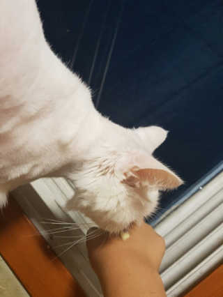 은채원님이 올린 리뷰 사진 2