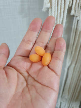 빈이율빠님이 올린 리뷰 사진 3