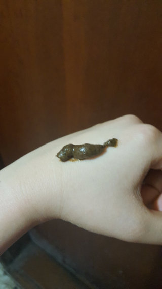 수영님이 올린 리뷰 사진 2
