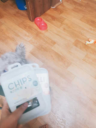 이예림님이 올린 리뷰 사진 3
