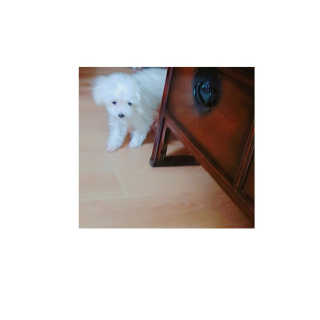 윱니님이 올린 리뷰 사진 1
