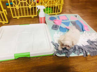 수블리님이 올린 리뷰 사진 1