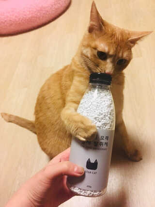 탕이맘님이 올린 리뷰 사진 1
