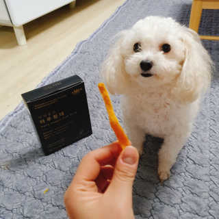 펫테라피 플레이트 야채품은 하루황태 — 5점을 준 리뷰어가 2019년 12월 올린 사용 사진