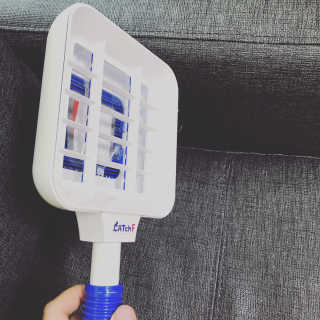 에이블루 신개념 위생 파리채 캐치에프 — 2.67점을 준 리뷰어가 2018년 6월 올린 사용 사진