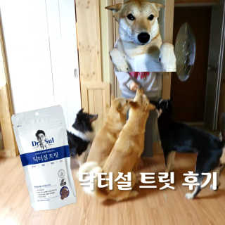 happyfactory님이 올린 리뷰 사진 1