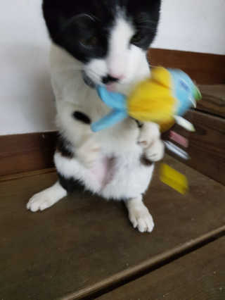 HAMMY님이 올린 리뷰 사진 3