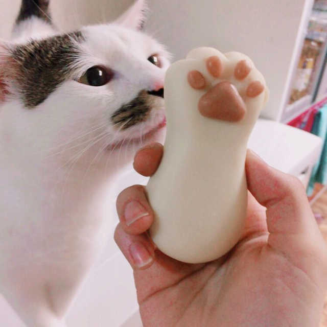 캣츠모리 산양유 젤리솝 리뷰 사진
