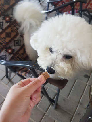 꾸꾸엄마님이 올린 리뷰 사진 3