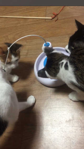 까꿍님이 올린 리뷰 사진 1