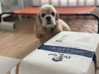 오쩡아님이 올린 리뷰 사진 3