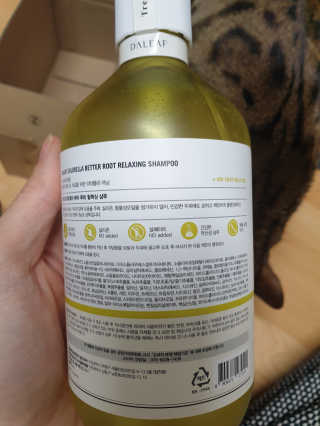 달리프 클로렐라 베러 루트 릴렉싱 샴푸 500ml — 5점을 준 리뷰어가 2020년 1월 올린 사용 사진