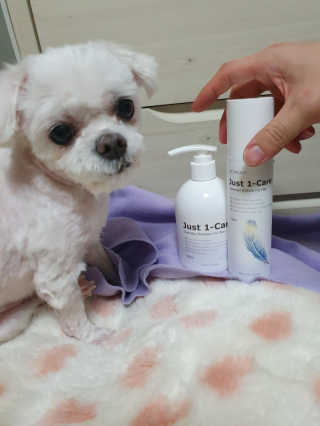 Lauren님이 올린 리뷰 사진 2