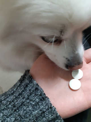 연보라님이 올린 리뷰 사진 2