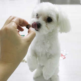 깡단이님이 올린 리뷰 사진 4