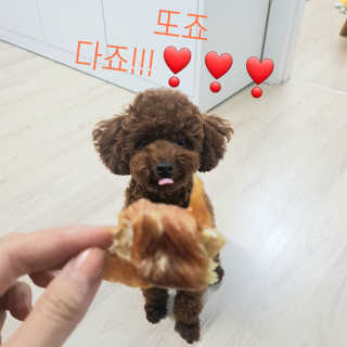 뽐님이 올린 리뷰 사진 4