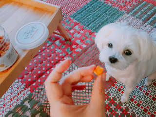 beanmom님이 올린 리뷰 사진 4