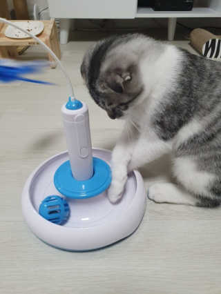 란이님이 올린 리뷰 사진 3