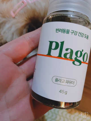 펄스트제님이 올린 리뷰 사진 2