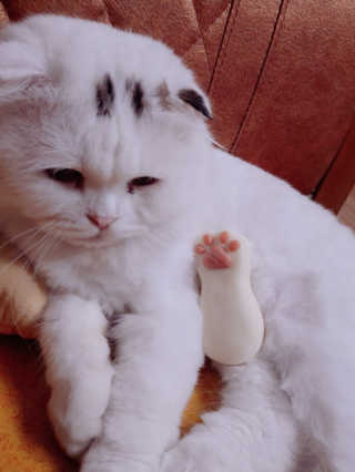 ㅇㅅㅇ님이 올린 리뷰 사진 3