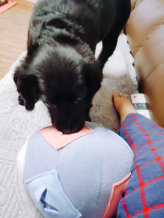 혜리미님이 올린 리뷰 사진 3