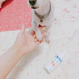 희뽀님이 올린 리뷰 사진 4