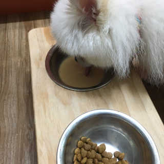 김미래님이 올린 리뷰 사진 2