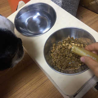 JisooOH님이 올린 리뷰 사진 2