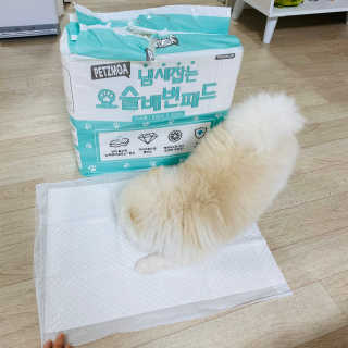 임수빈님이 올린 리뷰 사진 3