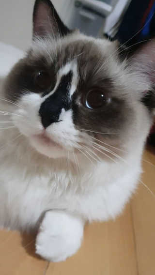 chatine님이 올린 리뷰 사진 1