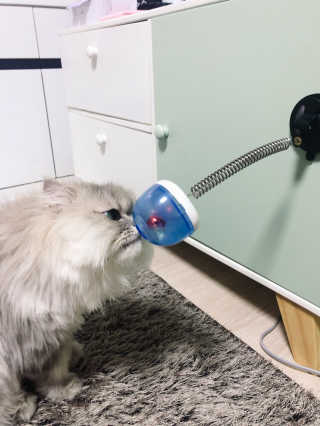 꼬끼오님이 올린 리뷰 사진 1
