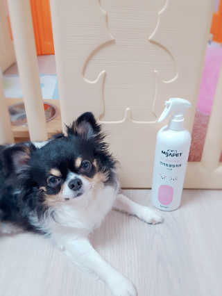 빵갱님이 올린 리뷰 사진 1