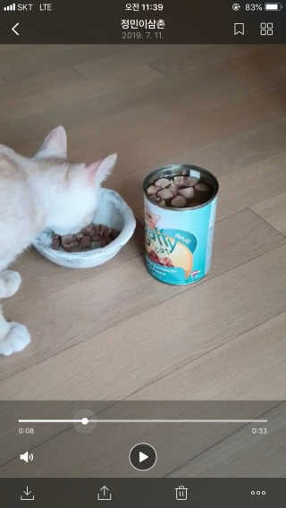 sy님이 올린 리뷰 사진 2