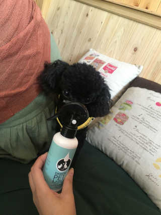 챌블리님이 올린 리뷰 사진 1