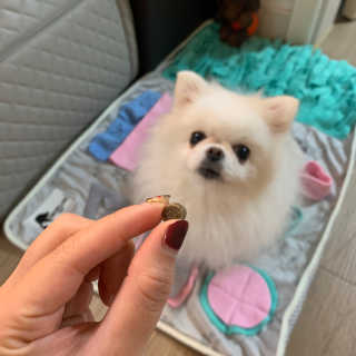 보라미90님이 올린 리뷰 사진 3