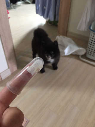 SeoHeePark님이 올린 리뷰 사진 1