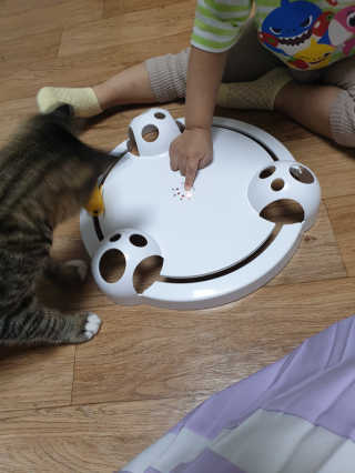 BoRaJin님이 올린 리뷰 사진 2