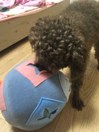 문혜진님이 올린 리뷰 사진 2