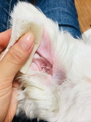 자기전님이 올린 리뷰 사진 2