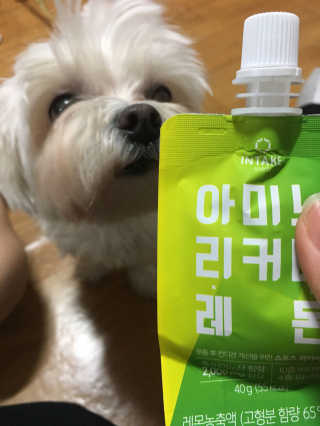 LeePommi님이 올린 리뷰 사진 2