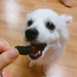 봄봄님이 올린 리뷰 사진 4