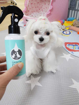 ㅌㅐㄹㅣ님이 올린 리뷰 사진 2