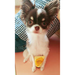 hasso님이 올린 리뷰 사진 1