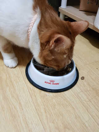 신예지님이 올린 리뷰 사진 3