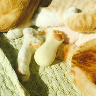 찡찡이님이 올린 리뷰 사진 1
